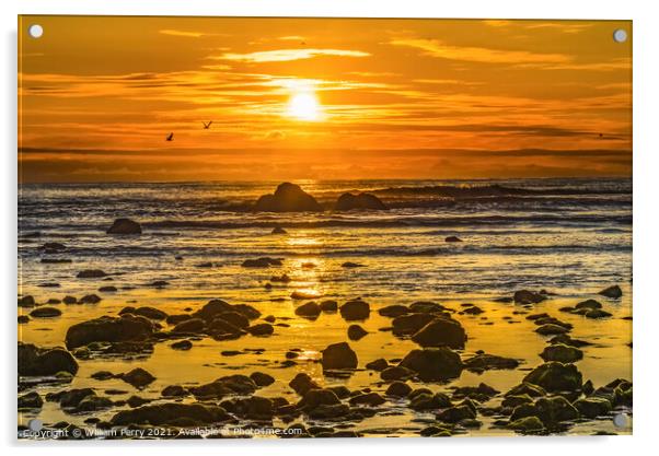 Colorful Yellow Low Tide Pools Canon Beach Oregon Acrylic by William Perry