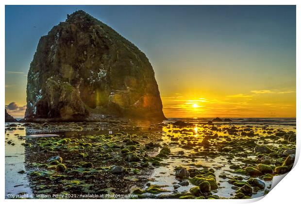 Colorful Yellow Haystack Rock Low Tide Pools Canon Beach Oregon Print by William Perry