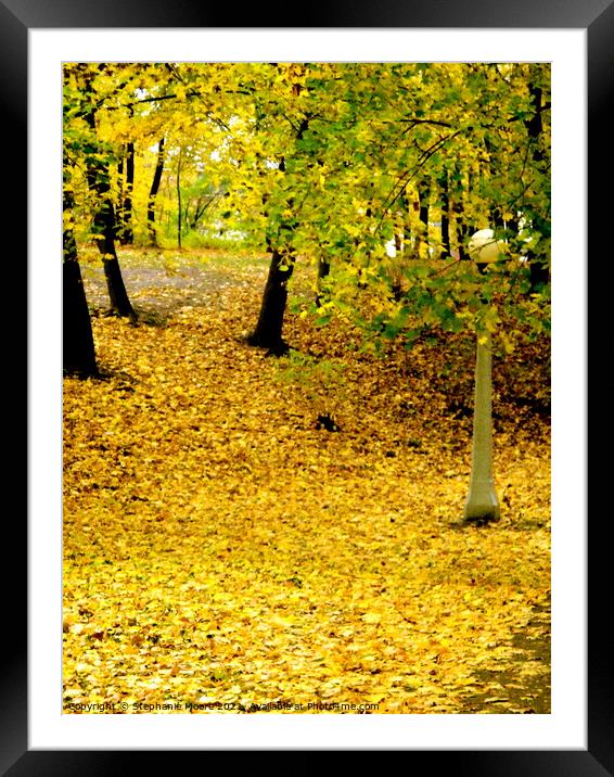 Golden path Framed Mounted Print by Stephanie Moore