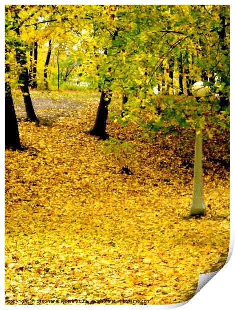 Golden path Print by Stephanie Moore