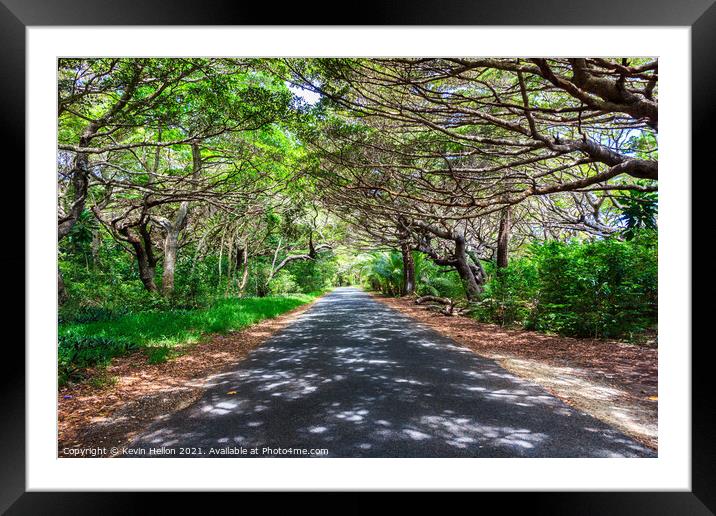 Tree lined road in Iles des Pines Framed Mounted Print by Kevin Hellon