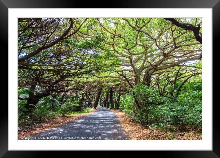 Tree lined road in Iles des Pines Framed Mounted Print by Kevin Hellon