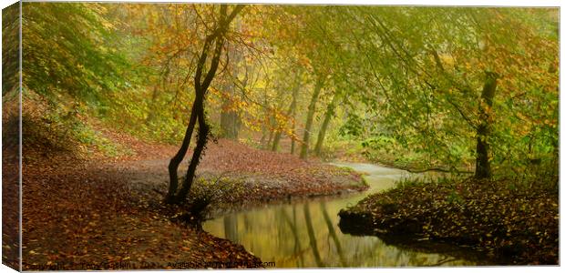 Autumn Colours Canvas Print by Tony Gaskins