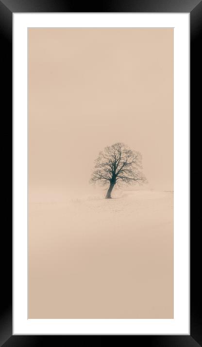 A tree in in the snow Framed Mounted Print by Duncan Loraine