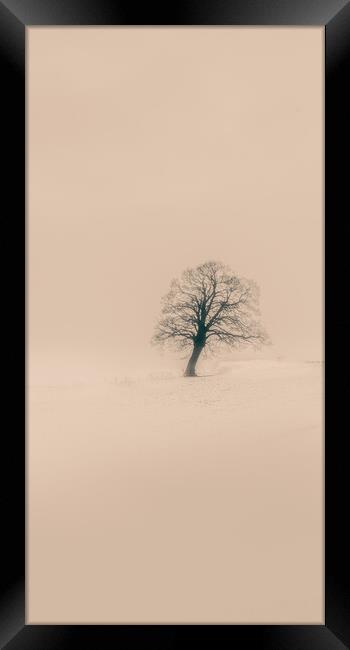 A tree in in the snow Framed Print by Duncan Loraine