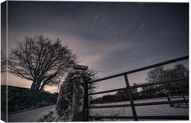 Nightscape Canvas Print by Duncan Loraine