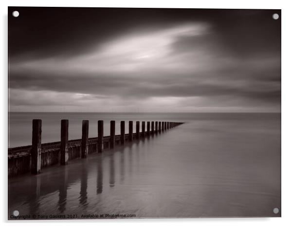 Sea Defenses, Lincolnshire Coast Acrylic by Tony Gaskins