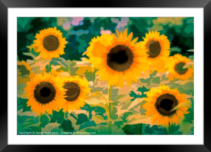 Sunflower Field Art  Framed Mounted Print by David Pyatt