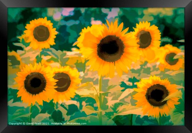 Sunflower Field Art  Framed Print by David Pyatt