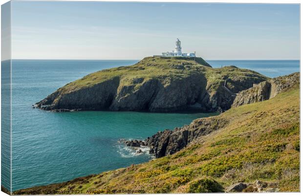 Strumble Head Lighthouse North Pembrokeshire Canvas Print by Nick Jenkins