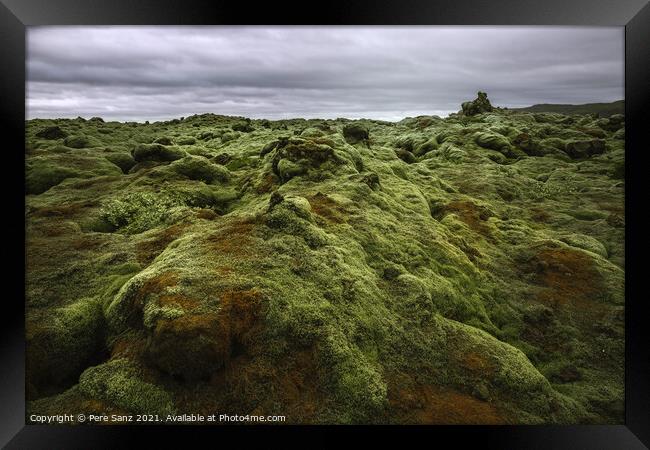 Eldhraun Lava Field in Iceland Framed Print by Pere Sanz