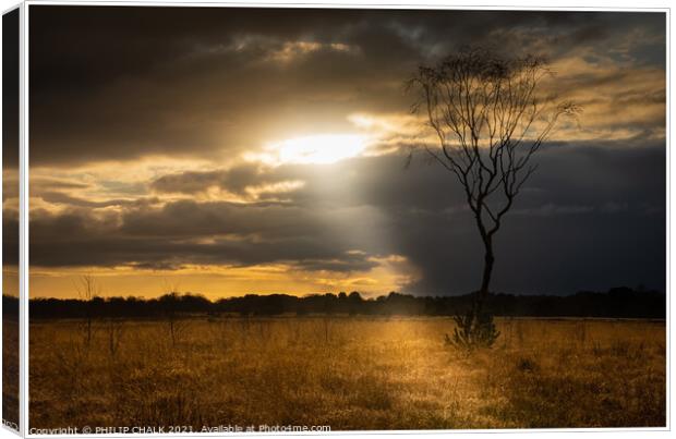 Strensall common sunset with light beam 09 Canvas Print by PHILIP CHALK