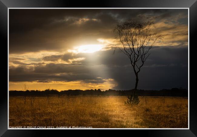 Strensall common sunset with light beam 09 Framed Print by PHILIP CHALK