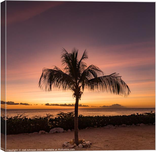 A sunset over a sandy beach next to a palm tree Canvas Print by Gail Johnson