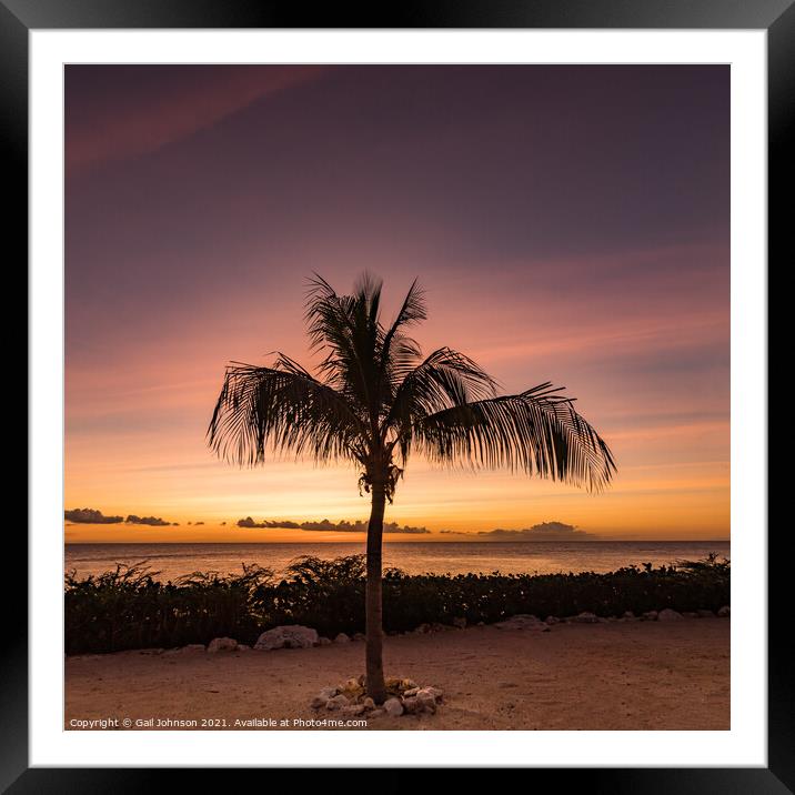 A sunset over a sandy beach next to a palm tree Framed Mounted Print by Gail Johnson