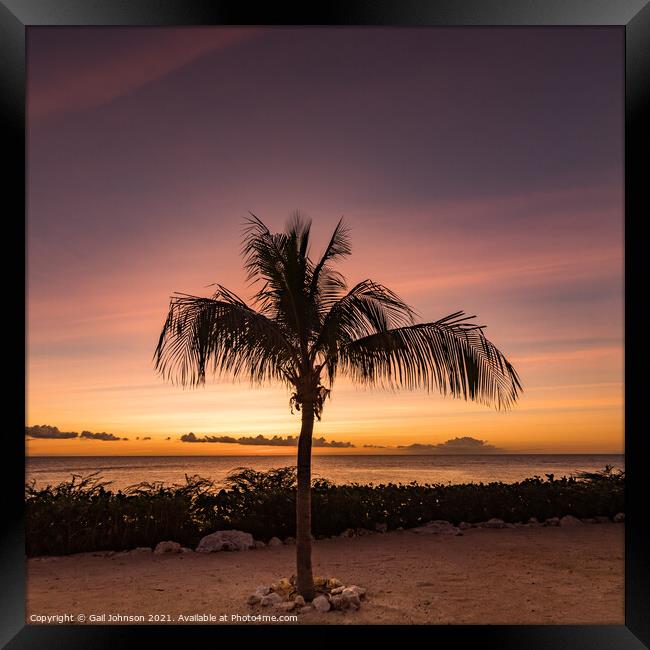 A sunset over a sandy beach next to a palm tree Framed Print by Gail Johnson
