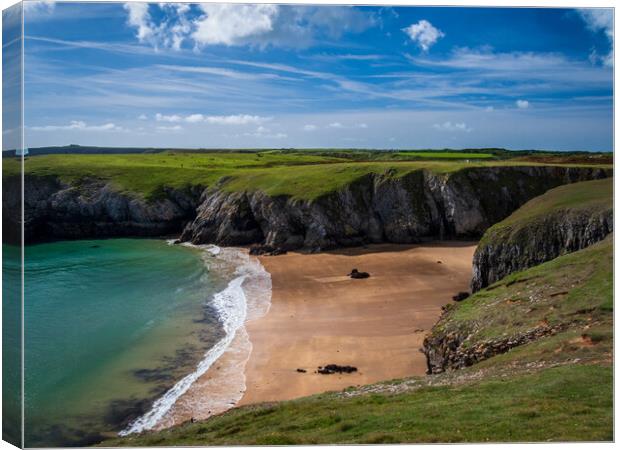 Stackpole Bay from the Coastal Path Canvas Print by Wendy Williams CPAGB