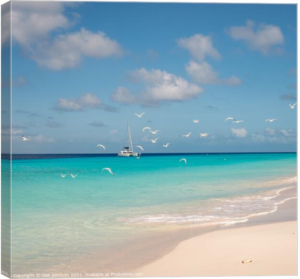  Views around the deserted island of Klien Curacao  Canvas Print by Gail Johnson