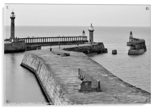 Whitby pier and lighthouses Acrylic by Fiona Williams