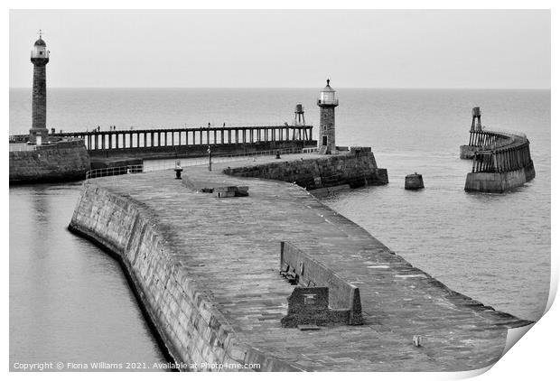 Whitby pier and lighthouses Print by Fiona Williams