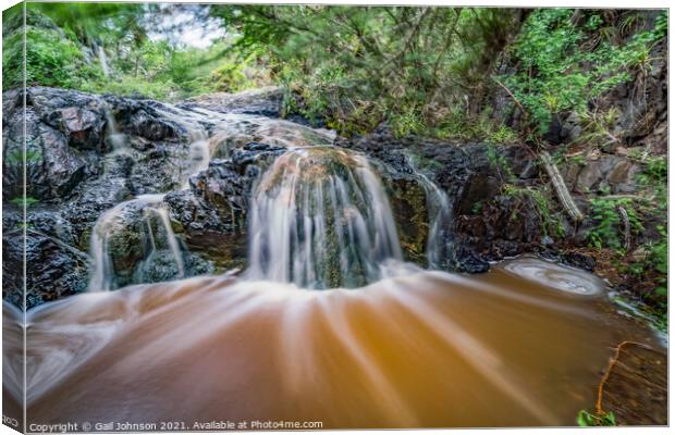 A stream making a small waterfall  Canvas Print by Gail Johnson
