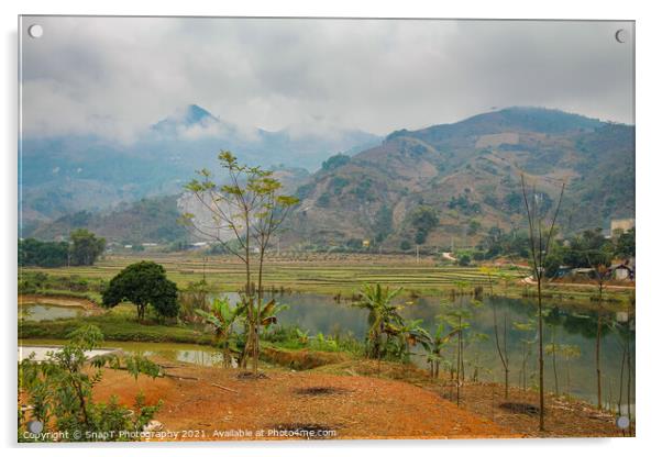 A mountain and rice paddy landscape in Sapa, Vietnam, on a winters morning Acrylic by SnapT Photography