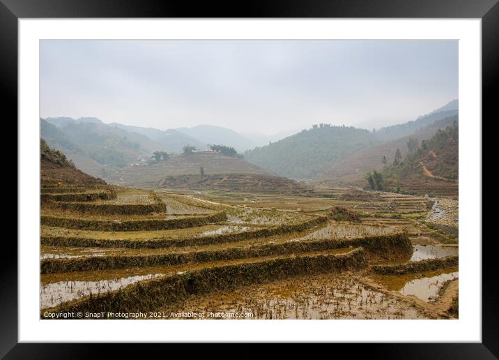 A vietnamese rice terrace on a winters morning in Sapa, Northern Vietnam Framed Mounted Print by SnapT Photography