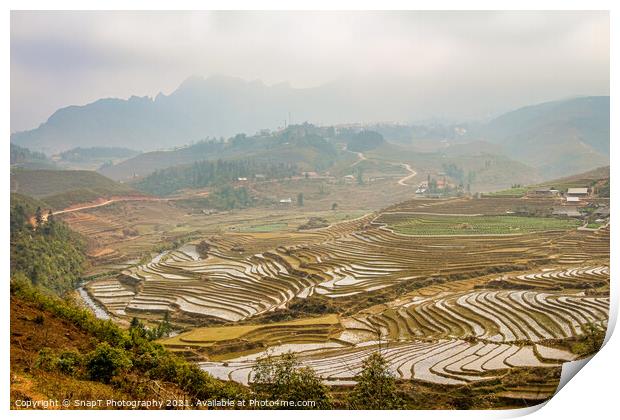 A view over a Vietnamese landscape of rice terraces in winter, Sapa, Vietnam Print by SnapT Photography