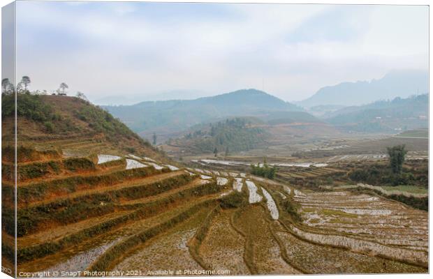 A close up of a Vietnamese rice terrace in Sapa, Vietnam Canvas Print by SnapT Photography