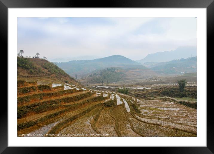 A close up of a Vietnamese rice terrace in Sapa, Vietnam Framed Mounted Print by SnapT Photography