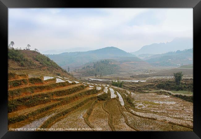 A close up of a Vietnamese rice terrace in Sapa, Vietnam Framed Print by SnapT Photography