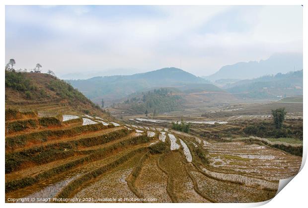 A close up of a Vietnamese rice terrace in Sapa, Vietnam Print by SnapT Photography