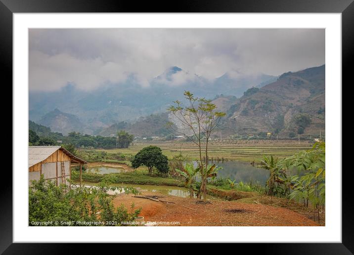 Rice paddy and lake in winter in Sapa, Vietnam Framed Mounted Print by SnapT Photography