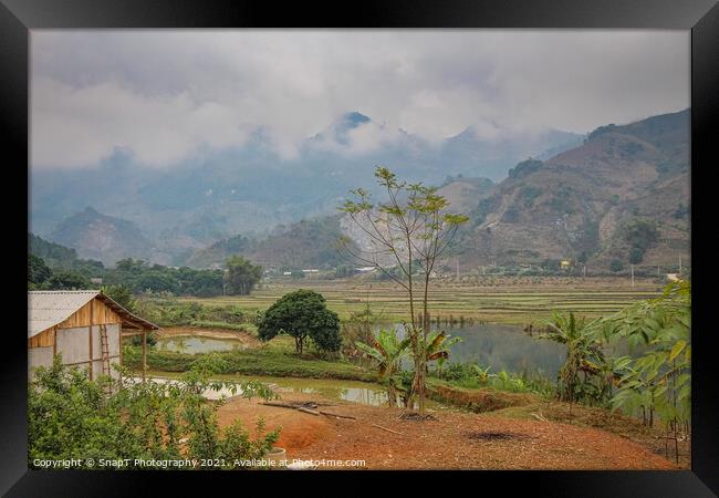 Rice paddy and lake in winter in Sapa, Vietnam Framed Print by SnapT Photography