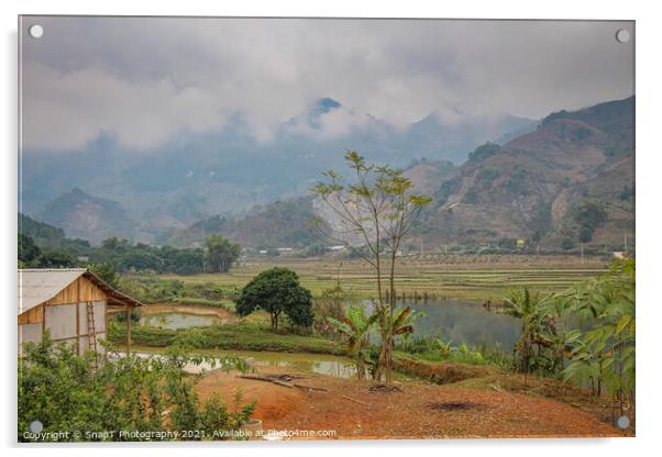 Rice paddy and lake in winter in Sapa, Vietnam Acrylic by SnapT Photography