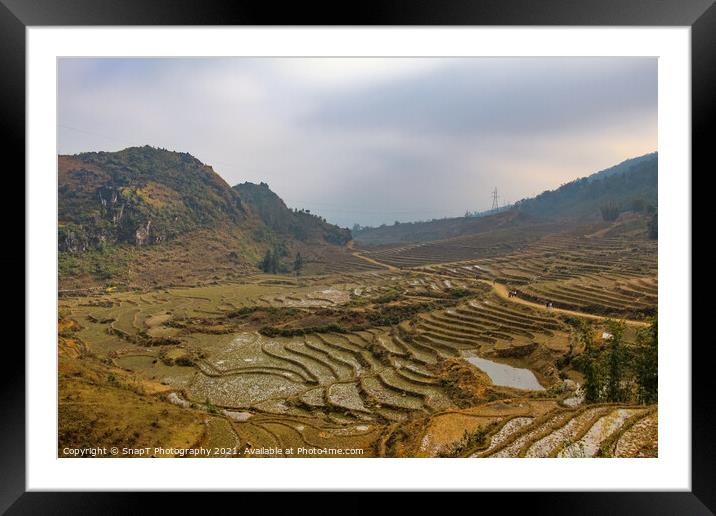 A view over a Vietnamese landscape of rice terraces in winter, Sapa, Vietnam Framed Mounted Print by SnapT Photography