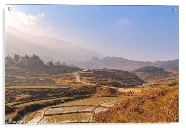 Sun rise over a river valley and rice paddy in Sapa, Vietnam Acrylic by SnapT Photography