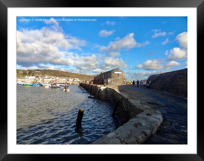 The Cobb Lyme Regis  Framed Mounted Print by Sheila Ramsey