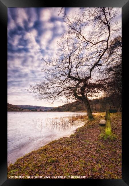 Morehall Reservoir Bench and Tree Framed Print by Angie Morton