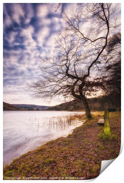 Morehall Reservoir Bench and Tree Print by Angie Morton