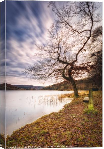 Morehall Reservoir Companions  Canvas Print by Angie Morton