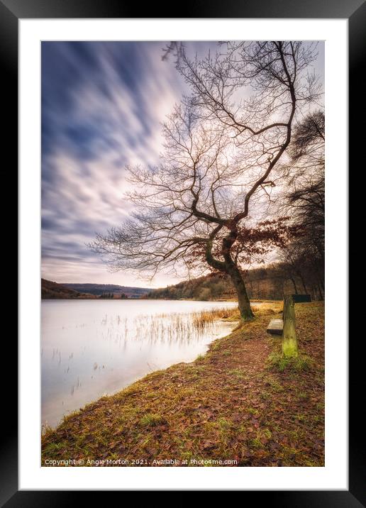 Morehall Reservoir Companions  Framed Mounted Print by Angie Morton