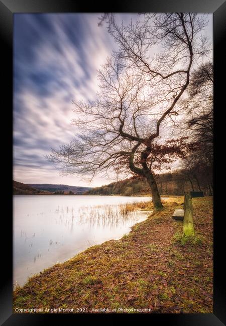 Morehall Reservoir Companions  Framed Print by Angie Morton