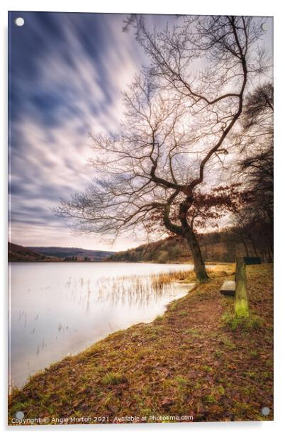 Morehall Reservoir Companions  Acrylic by Angie Morton