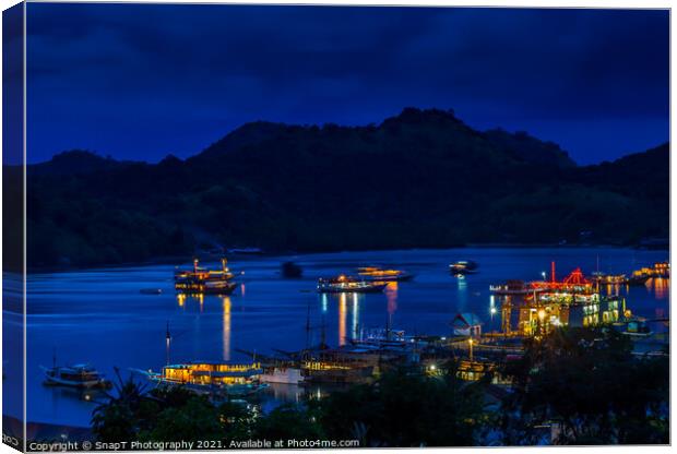 A view over the harbour at Labuan Bajo and nearby island at night Canvas Print by SnapT Photography