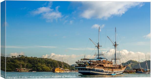 Large yachts in Labuan Bajo harbour in morning Canvas Print by SnapT Photography