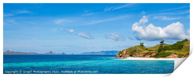 A coral reef and Manta Ray cleaning station off a tropical island, Flores Print by SnapT Photography