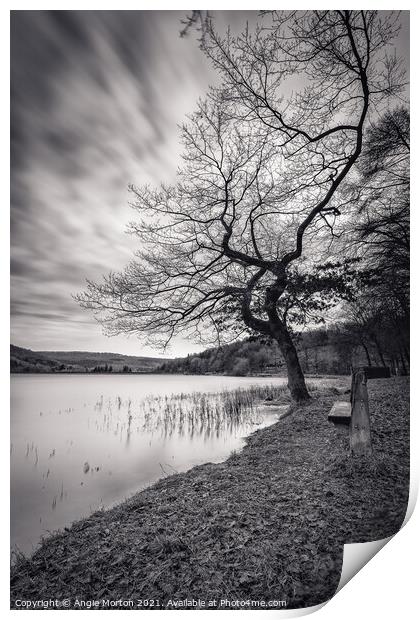 Morehall Reservoir Companions in Mono Print by Angie Morton