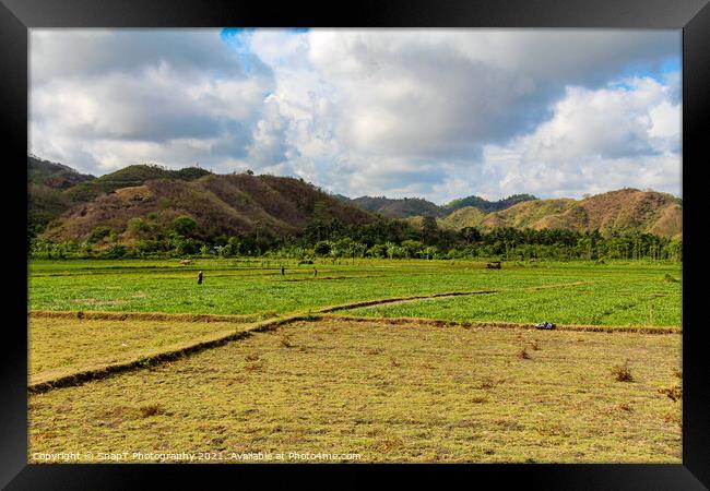 Rice paddy workers in a field near Mawun Beach, Kuta, Lombok Framed Print by SnapT Photography