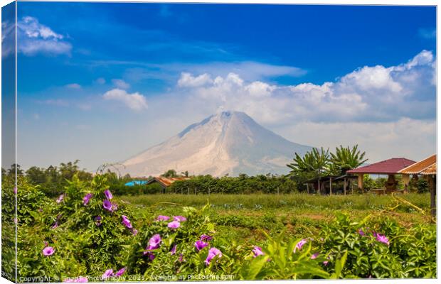 A view of Mount Sinabung over agricultural land in North Sumatra, Indonesia Canvas Print by SnapT Photography